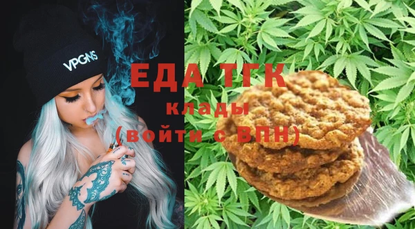 хмурый Алексин