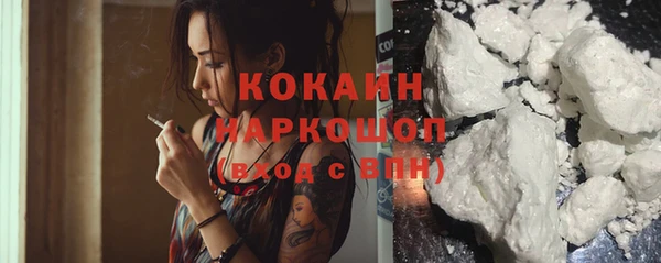 хмурый Алексин