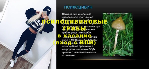 хмурый Алексин