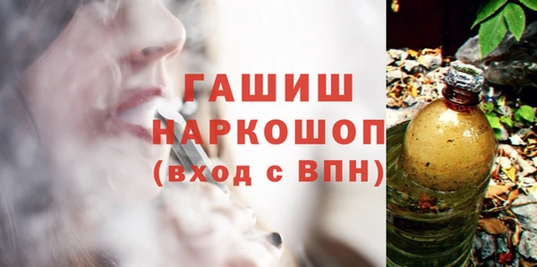 хмурый Алексин