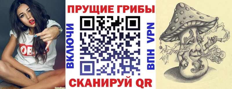 нарко площадка официальный сайт  Шелехов  Псилоцибиновые грибы прущие грибы 